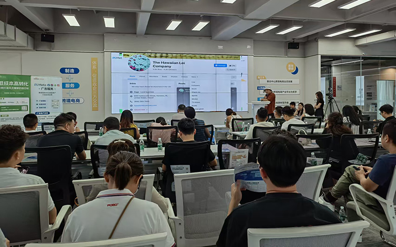 广东繸子产业投资集团有限公司TZITZIT GROUP-跨境出海-股权投资-产投研一体化集团